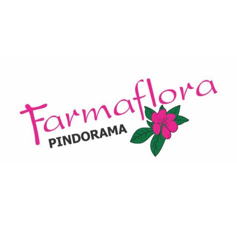 farmaflora | Links to Instagram - Linkr