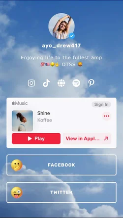 linkr.bio link in bio template: most inspiring link in bio template with video as background and music link integrated from apple music and social links and icons like Pinterest PayPal.