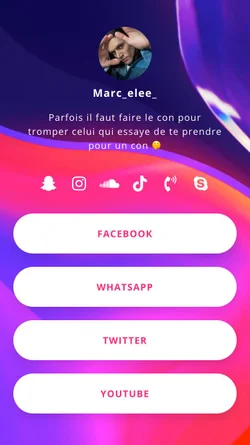 linkr.bio link in bio template: popular bio link design example with links for WhatsApp, Youtube, Facebook, Twitter, Snapchat, Soundcloud, Spotify, TikTok, and Instagram
